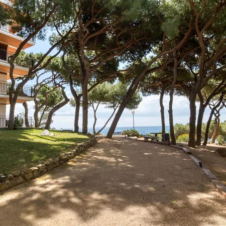 Cavall Bernat Apartamento *